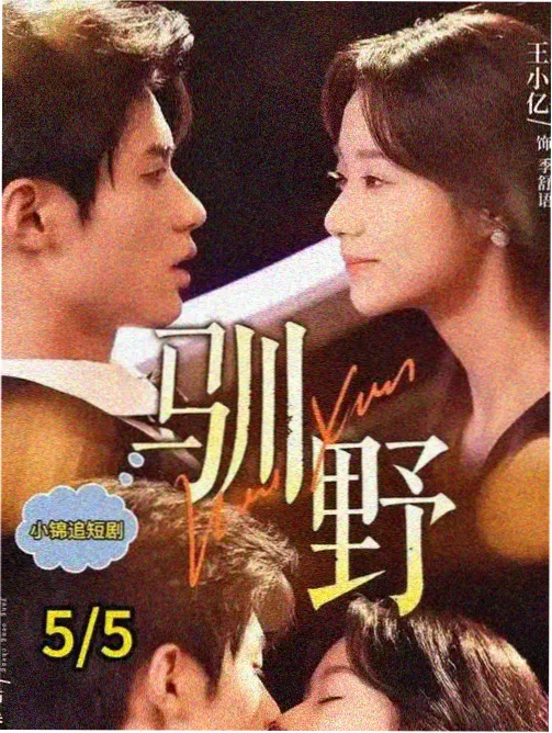 长夜值班室双季影视捆绑档案封面
